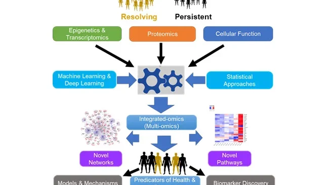 A typical integrated omics workflow showing input datasets, output datasets and results.